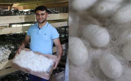 Bir Kutusundan Asgari Ücretin Üzerinde Para Kazanıyorlar!