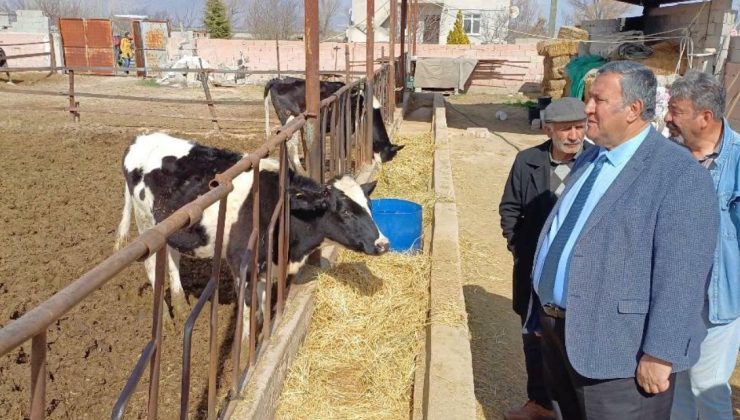 “Ahır Giderleri Artarken Çiğ Süt Fiyatlarındaki Artış Besicileri Rahatlatmayacak”