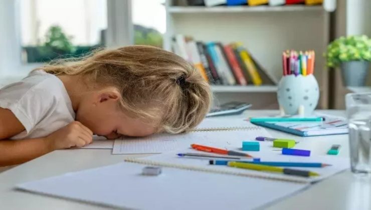 Erken Öğrenenlerin Hayatı Değişiyor! Çocuğunuzun Derslerinde Başarısız Olmasının En Büyük Sebebi Meğer Buymuş