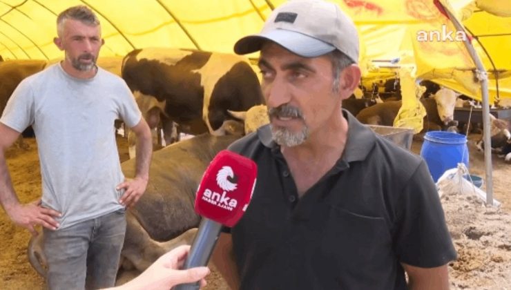 Kurban Pazarında Satıcılar Tepkili: Maliyetler Yüzde 100 Arttı! Böyle Giderse…