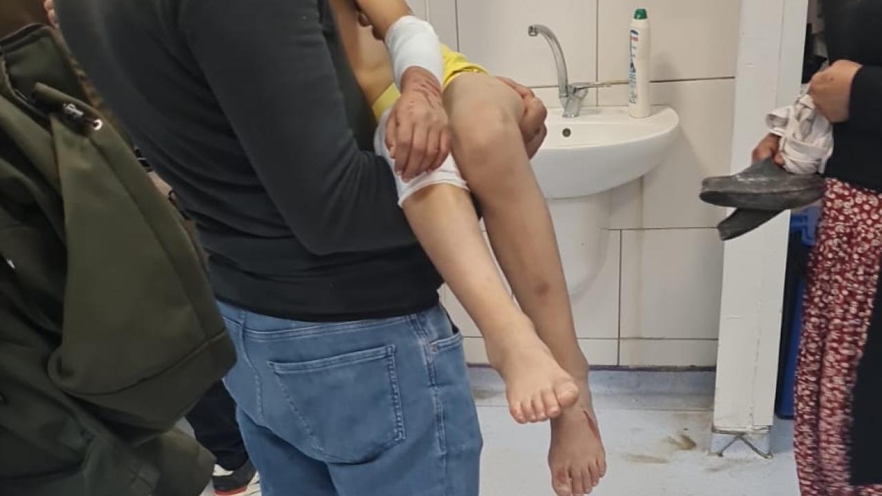 Başıboş köpekler 9 yaşındaki çocuğa saldırdı